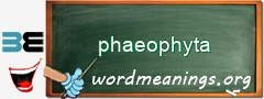 WordMeaning blackboard for phaeophyta